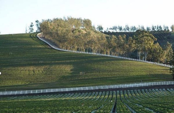 Nu tien si bo viec ve que lam nong dan, kiem 26 ty dong/nam-Hinh-2