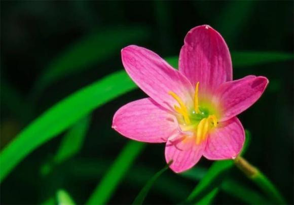 Ba nguoi ma chung ta co the dua vao nhat khi cha me ra di-Hinh-2