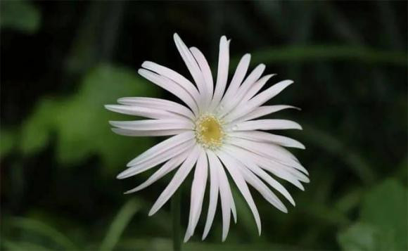 Ba nguoi ma chung ta co the dua vao nhat khi cha me ra di