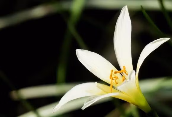 Sau khi nguoi than qua doi, lam 4 dieu sau la diem xui xeo-Hinh-2