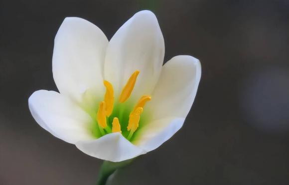 Sau khi nguoi than qua doi, lam 4 dieu sau la diem xui xeo-Hinh-3