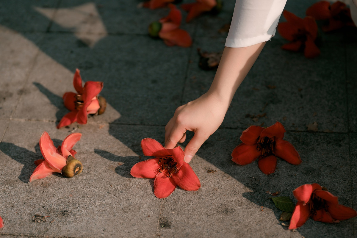 Thang 3 mua hoa gao xu Hue-Hinh-7