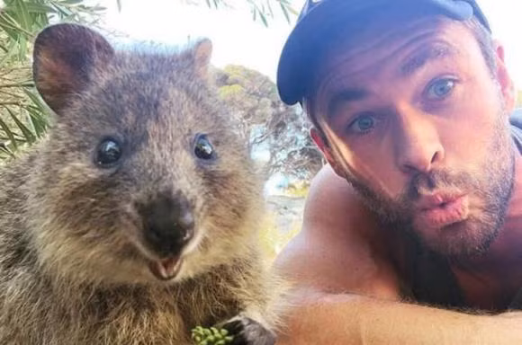 Dan ong Uc song lau nhat vi 5 ly do sau day-Hinh-3