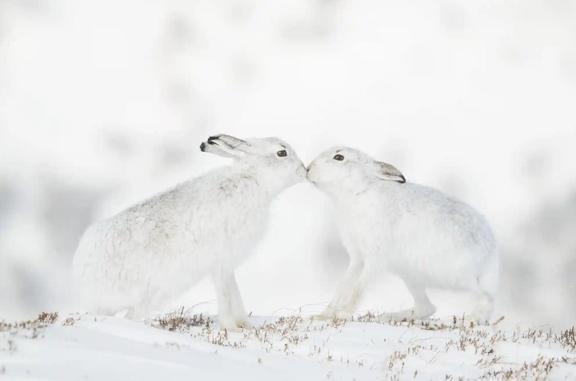 Tên tác phẩm: Chạm nhẹ nhàng. Tác giả: Andy Parkinson