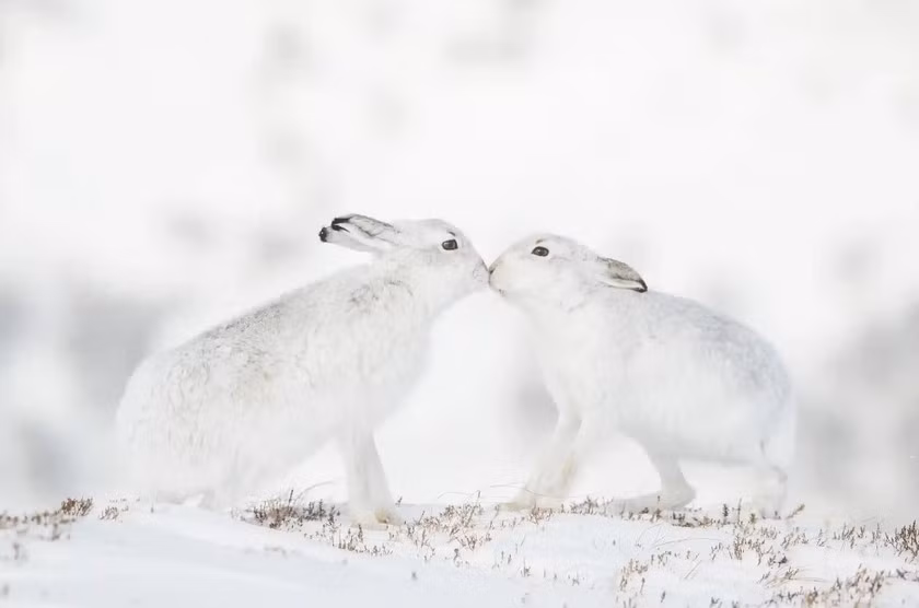 Tên tác phẩm: Chạm nhẹ nhàng. Tác giả: Andy Parkinson