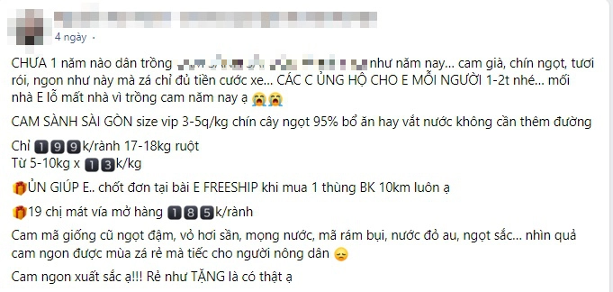 Vao chinh vu cam sanh ban chay vi gia re-Hinh-2