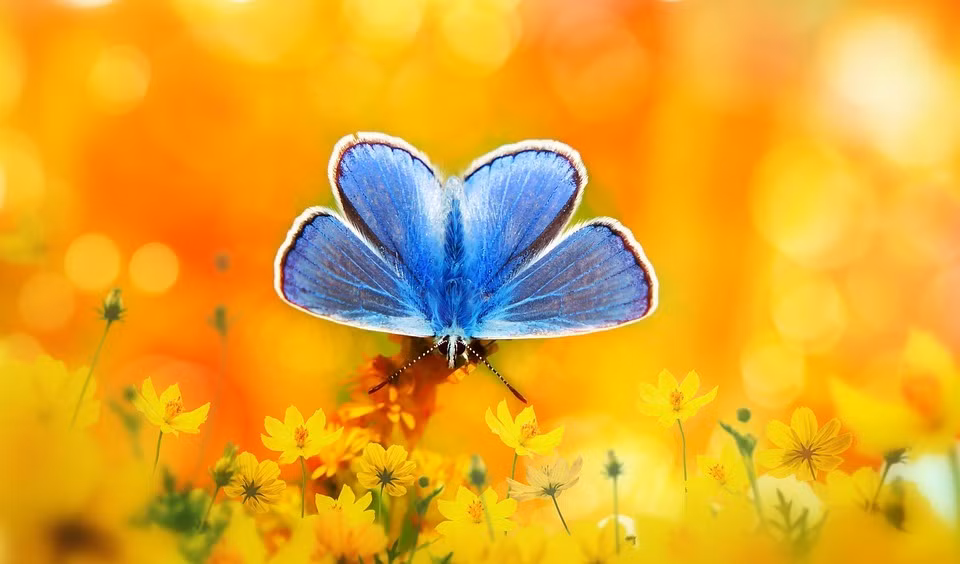 4 con giap thang 4 phu quy, thang 5 dua da, thang 6 sung tuc-Hinh-3