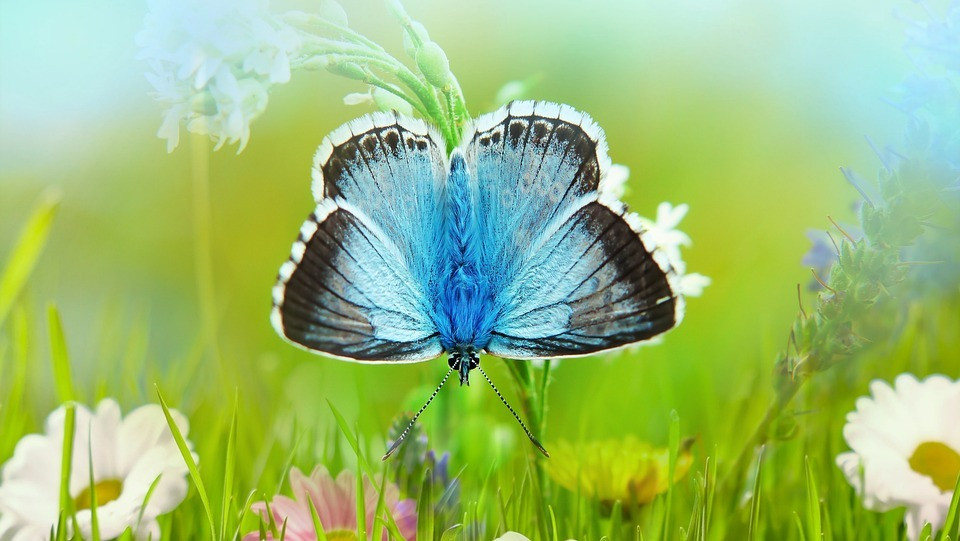 4 con giáp tháng 4 phú quý, tháng 5 dưa dả, tháng 6 sung túc - Hình 2 4 con giap thang 4 phu quy, thang 5 dua da, thang 6 sung tuc-Hinh-2