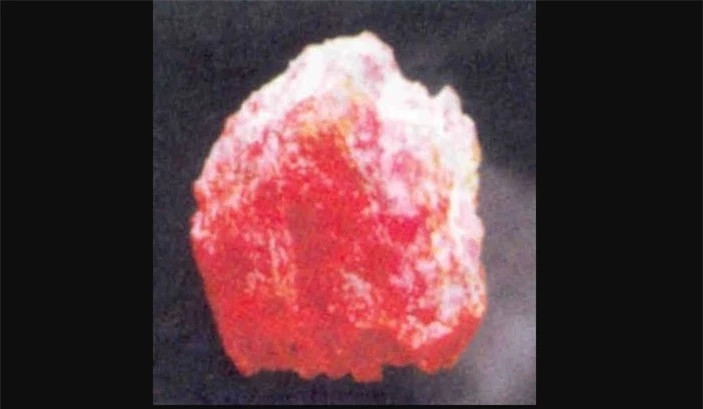 Vien ruby lon nhat Viet Nam la bao vat quoc gia, nang 2,7kg-Hinh-4