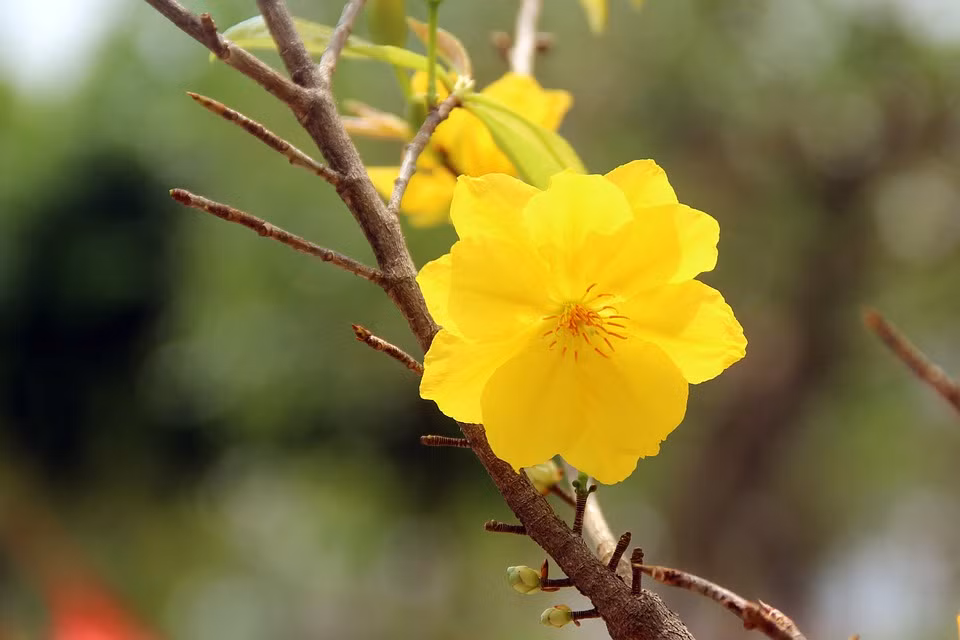 Nguoi sinh vao 4 ngay Am lich nay on hoa, hau van phu quy-Hinh-3