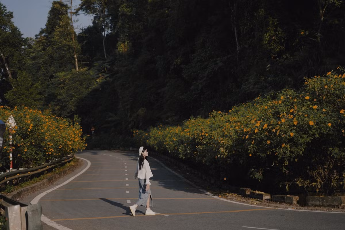 Cách trung tâm Hà Nội khoảng 40km, du khách có thể lựa chọn phương tiện di chuyển bằng xe máy để tiện dừng lại chụp ảnh nếu thấy khóm hoa đẹp ven đường (Ảnh: Phương Tali).