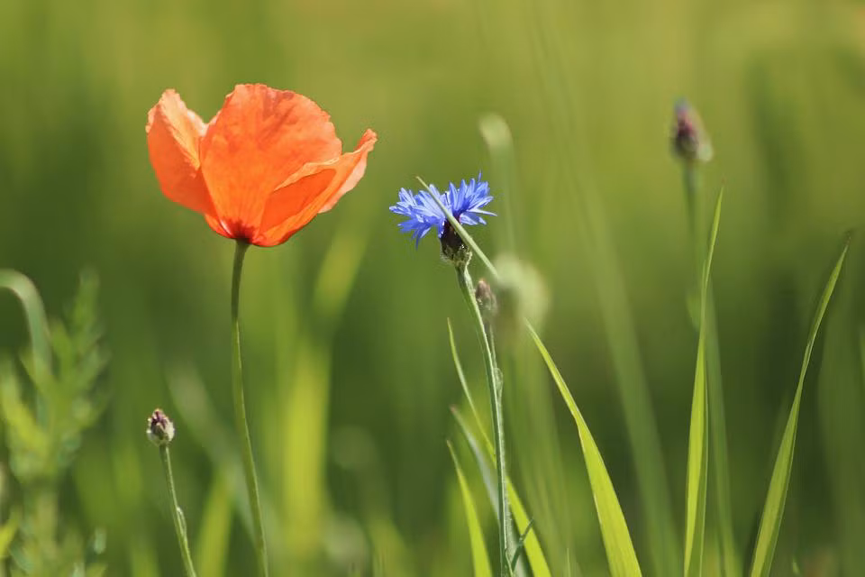 Người sinh vào 4 ngày Âm lịch này có số mệnh vàng mười - Hình 4 Nguoi sinh vao 4 ngay Am lich nay co so menh vang muoi-Hinh-4
