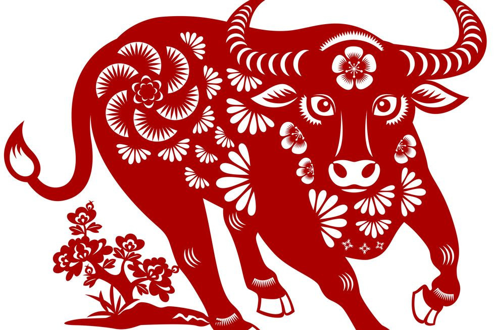 Con giáp tuổi Sửu. Theo tử vi 12 con giáp năm 2023, 10 người tuổi Sửu thì chín người thông minh. Họ không bao giờ bắt đầu hay kết thúc mọi việc mà chưa nắm chắc được kết quả.