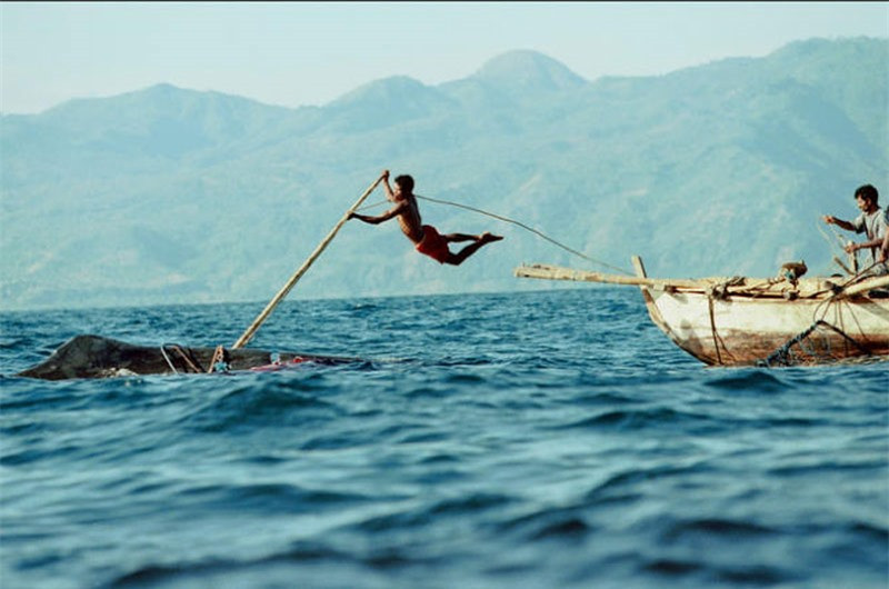 Video: “Rợn người” với màn săn cá voi khổng lồ Video: “Ron nguoi” voi man san ca voi khong lo