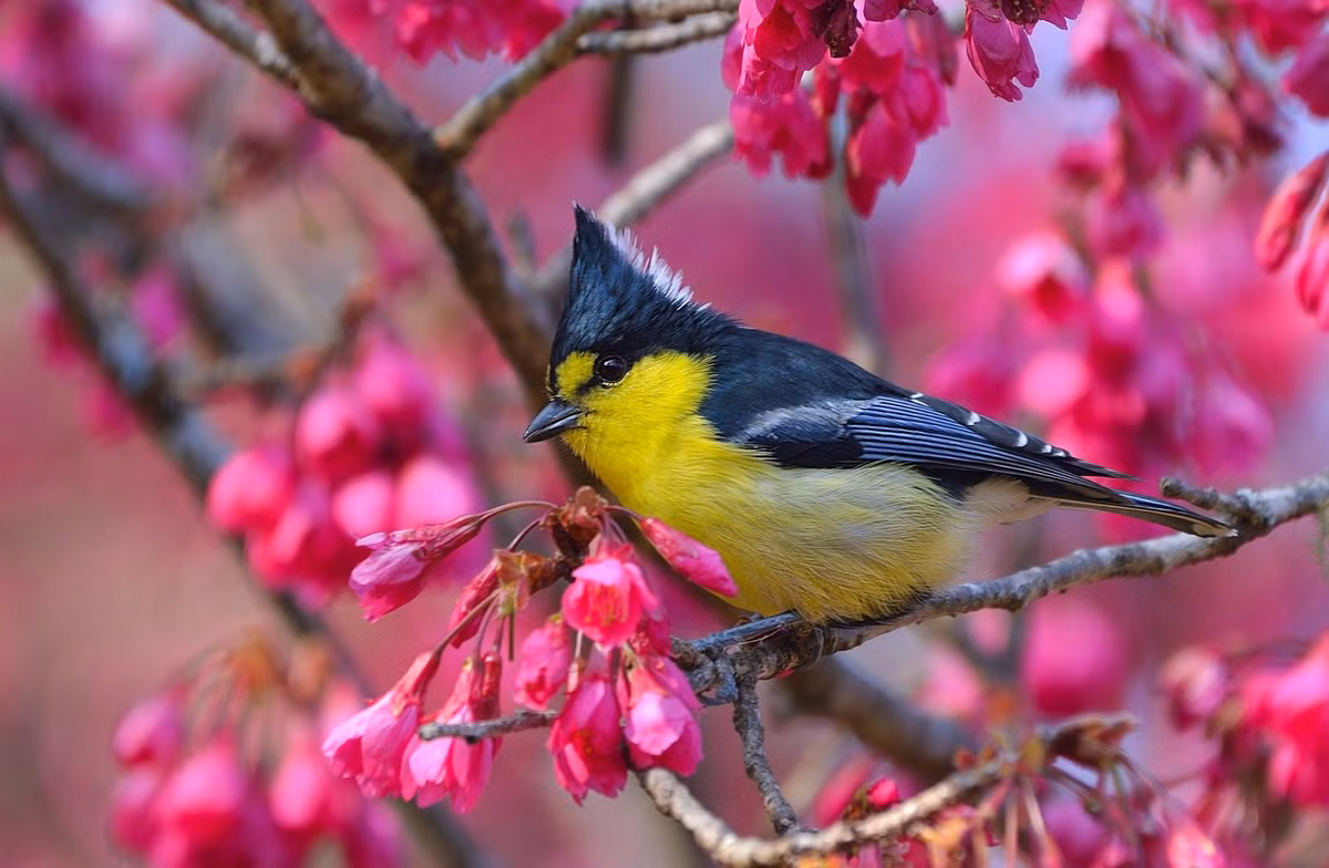 Ai sinh thang Am lich nay, nam nay su thanh danh toai-Hinh-2