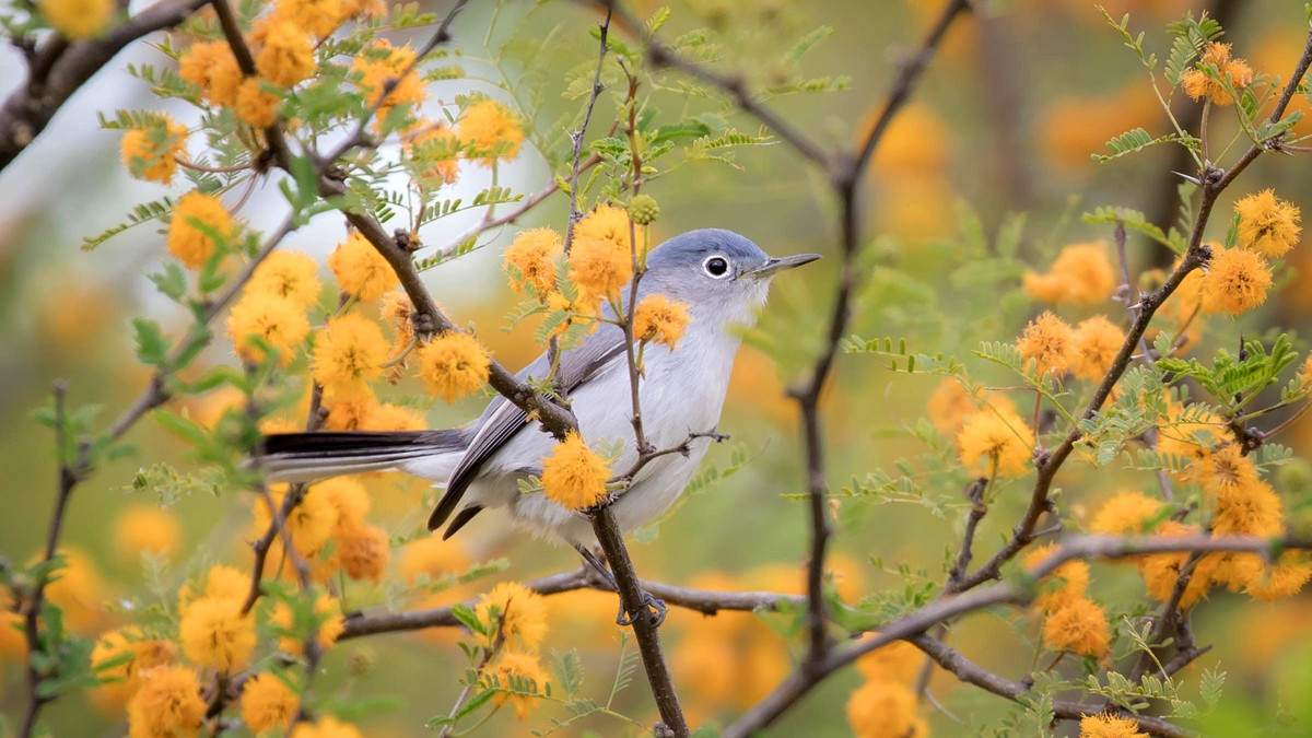 Với mọi con giáp, cơ hội ở khắp mọi nơi trong cuộc sống. Điều quan trọng là bạn phải có cái nhìn chi tiết để phát hiện sớm hơn người khác và đánh giá sự kiện một cách lạc quan. Nhiều người đã nắm bắt cơ hội thành công, cộng với việc làm việc chăm chỉ nên đã cho phép bản thân mở ra tương lai tốt đẹp.