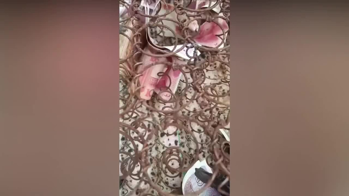 Video: Người đàn ông mở tấm nệm cũ bên đường thấy thứ bất ngờ Video: Nguoi dan ong mo tam nem cu ben duong thay thu bat ngo