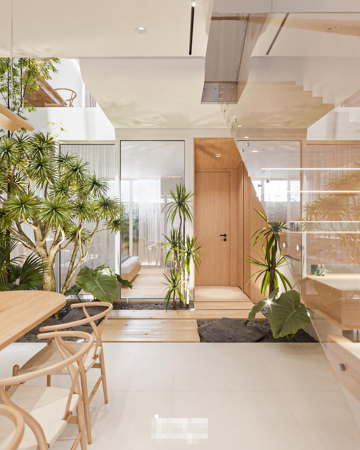 Dưới giếng trời, nhóm trồng cây thần tài núi - loại cây dễ trồng, ưa bóng mát và có tác dụng thanh lọc không khí rất tốt.