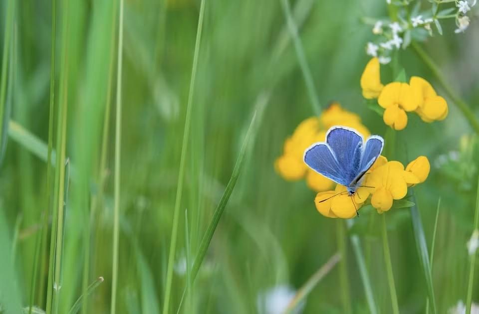 3 con giap thoi tre cham chi, trung nien com ao khong lo