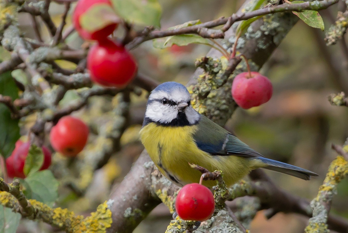 Ai sinh ngày Âm lịch này kiên định theo đuổi ước mơ - Hình 3 Ai sinh ngay Am lich nay kien dinh theo duoi uoc mo-Hinh-3