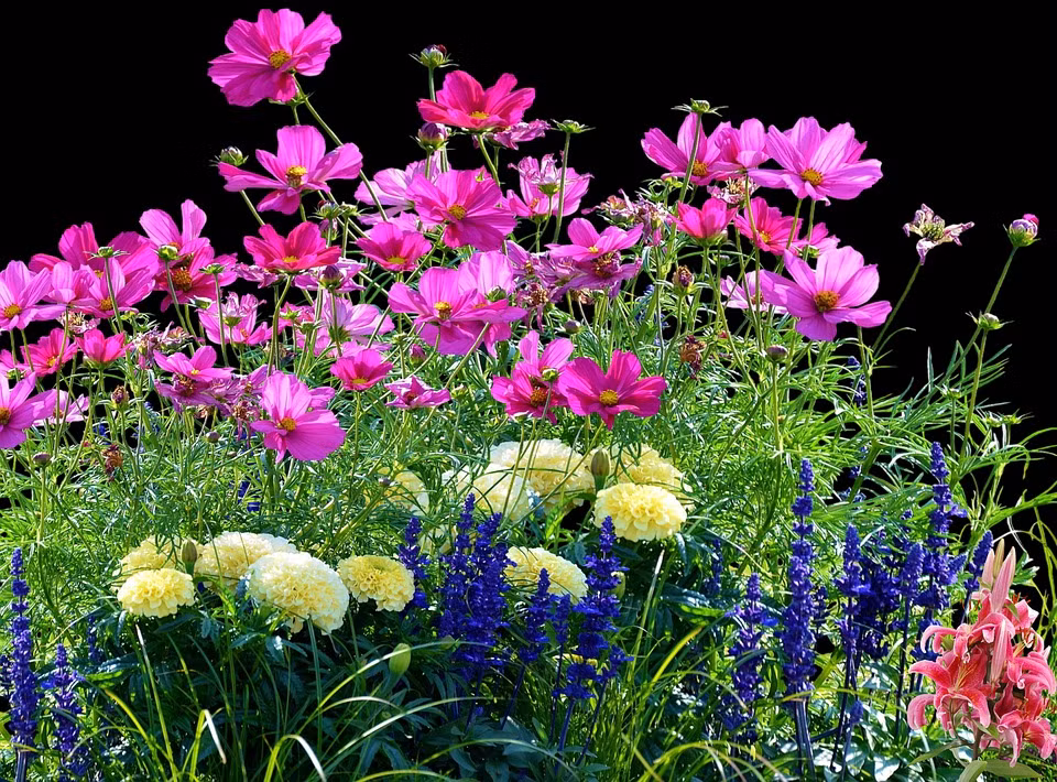 Ai sinh thang Am lich nay tinh cach nhu mi, ve gia an nhan