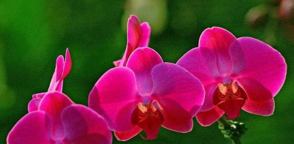 Nguoi sinh vao thang nay gioi doi nhan xu the, su nghiep thanh cong