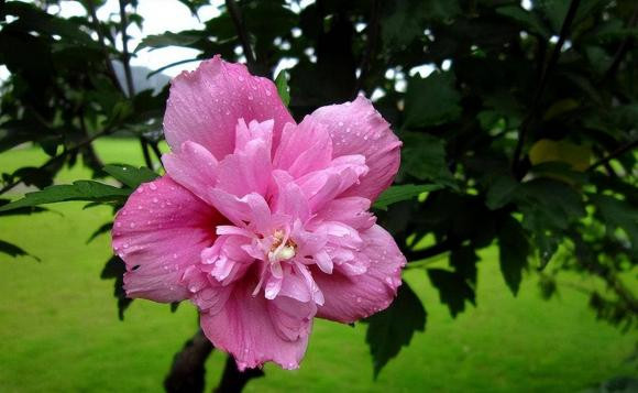 Nguoi sinh vao thang nay gioi doi nhan xu the, su nghiep thanh cong-Hinh-2