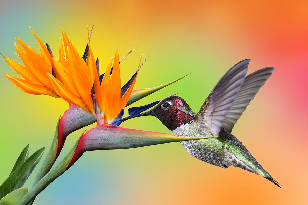 Ai sinh ngay Am lich nay lam tai nhung duong tinh duyen gap ghenh-Hinh-3