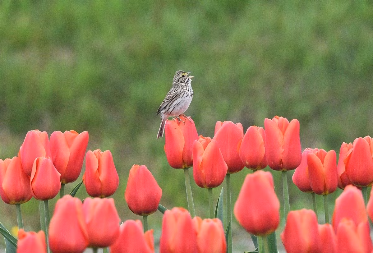 Ai sinh ngay Am lich nay lam tai nhung duong tinh duyen gap ghenh-Hinh-2