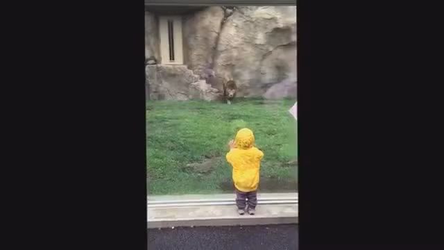 Video: Su tu dien cuong vo be trai qua lop kinh va cai ket