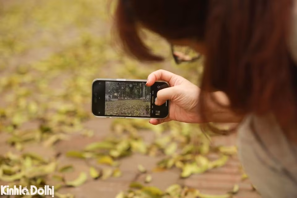 Ngam cay thay la vang uom tren “con duong lang man nhat Ha Noi”-Hinh-5
