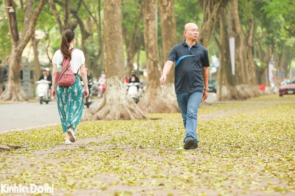 Ngam cay thay la vang uom tren “con duong lang man nhat Ha Noi”-Hinh-3