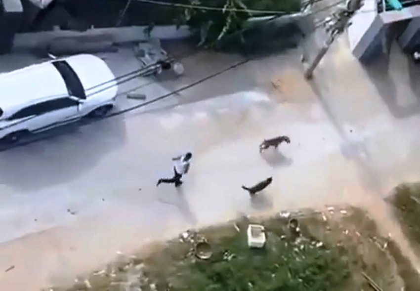 Nguoi tha cho can hang xom bi de nghi truy to toi giet nguoi