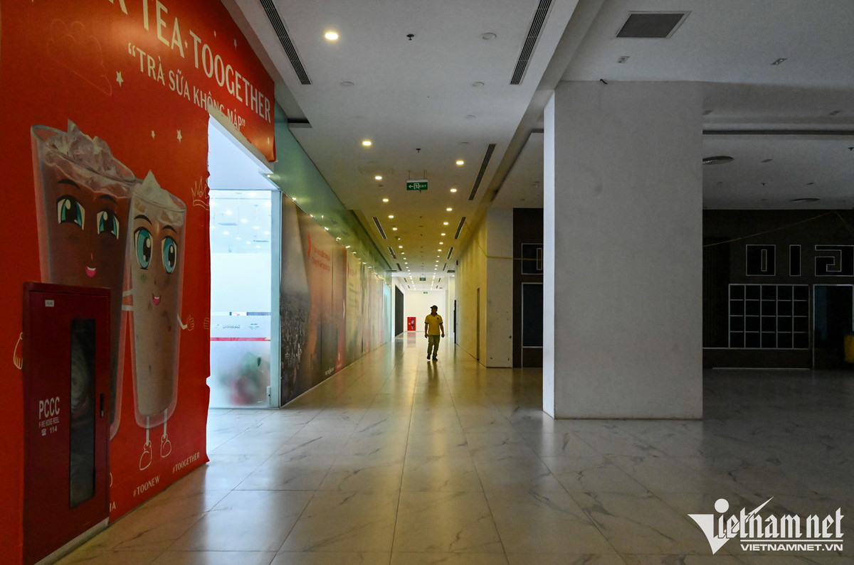 Nhung TTTM noi tieng Ha Noi trong canh hoang lanh-Hinh-18