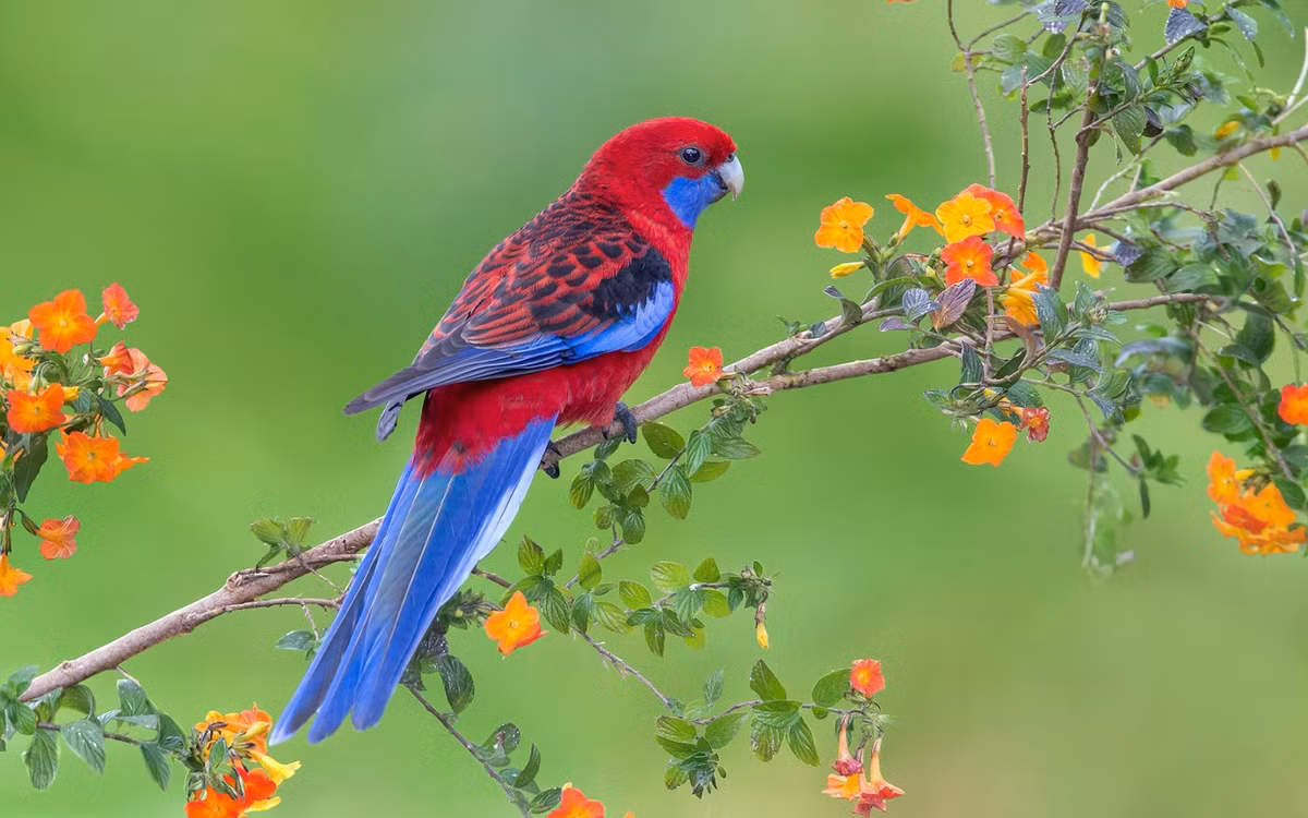 Sinh thang Am lich nay thong minh tiem an, tam nhin sang suot-Hinh-3