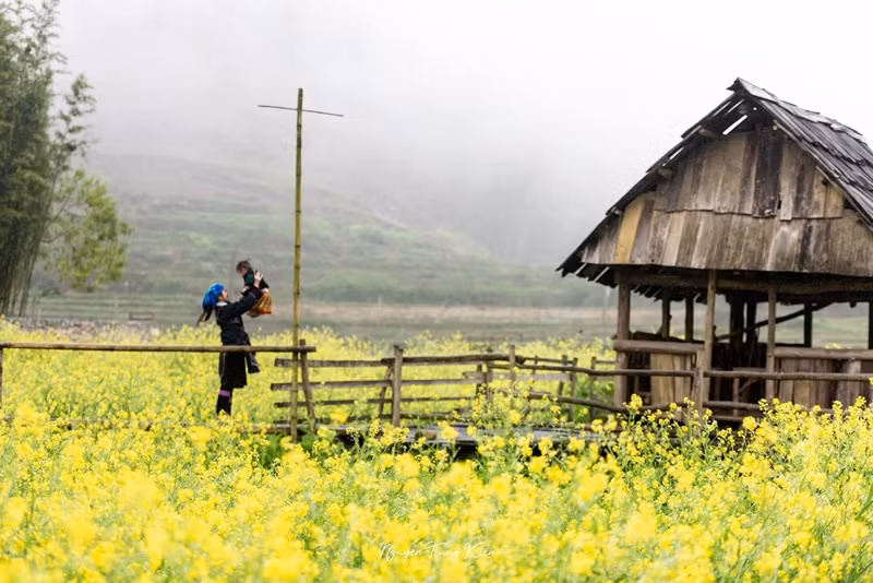 Cat Cat (Sa Pa) - ngoi lang co dep nhat xu Tay Bac-Hinh-7
