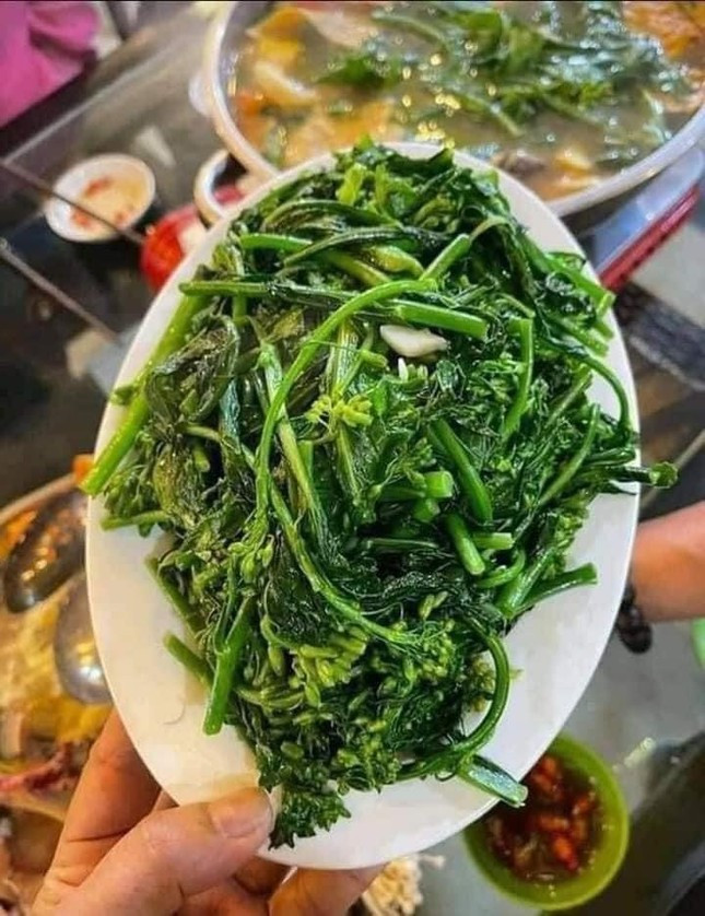 Mam, la cac loai rau cu truoc bo di nay thanh dac san-Hinh-6