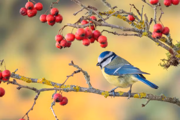 Nguoi sinh ngay Am lich nay gap thien thoi, dia loi may man-Hinh-2