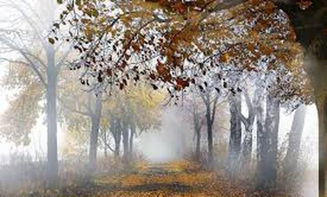 7 viec lam trong thang 7 am mang lai may man, thuan loi