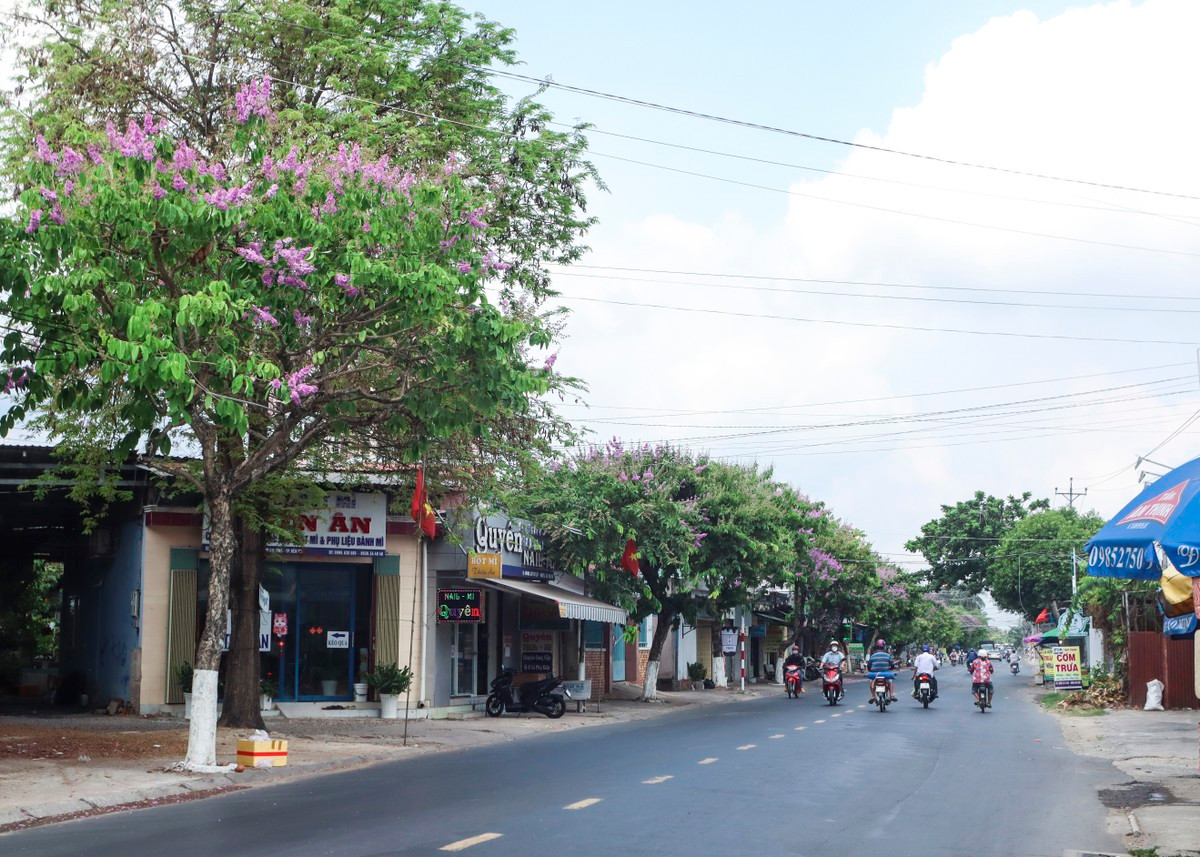 Ve xu dua ngam hoa bang lang khoe sac tim nao long-Hinh-10