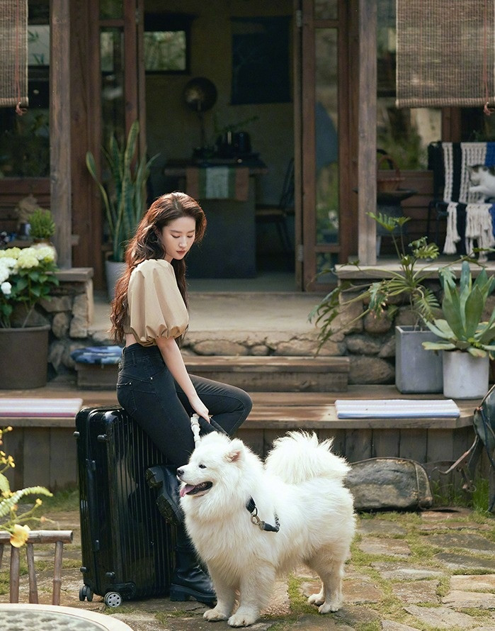 Theo Sina, Đi đến nơi có gió phản ánh áp lực thành công, tiền bạc của người trẻ trong xã hội hiện nay và mang tinh thần chữa lành tích cực. Tác phẩm có màu phim tươi sáng, trong trẻo và gần gũi với thiên nhiên nên mang lại cảm giác yên bình, thư giãn cho người xem. Tạo hình của diễn viên cũng tối giản với lối phối đồ đơn sắc.