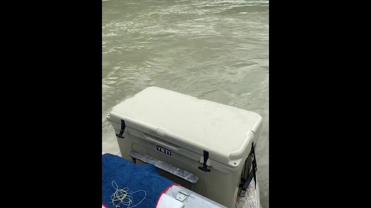 Video: Mac cau, ca tam khong lo nang 158kg bat nhay khoi mat nuoc