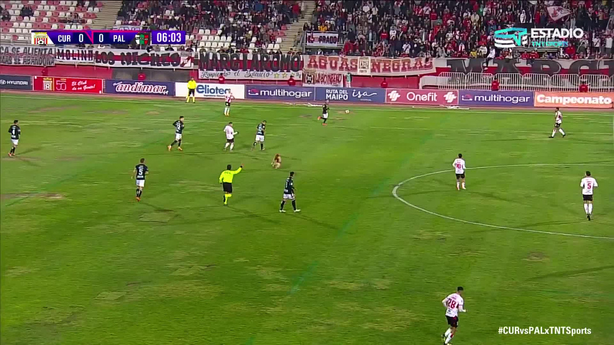 Video: Chú chó tinh nghịch làm gián đoạn trận bóng đá Video: Chu cho tinh nghich lam gian doan tran bong da