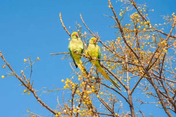 4 con giap tu viet lai cuoc doi bang chinh no luc cua minh