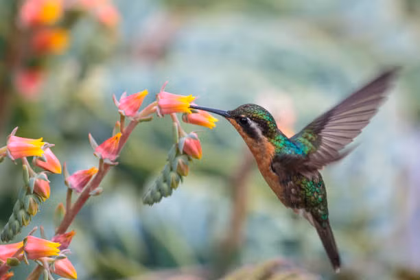 4 con giap tu viet lai cuoc doi bang chinh no luc cua minh-Hinh-2
