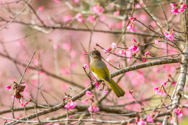 4 con giáp tự viết lại cuộc đời bằng chính nỗ lực của mình - Hình 3 4 con giap tu viet lai cuoc doi bang chinh no luc cua minh-Hinh-3