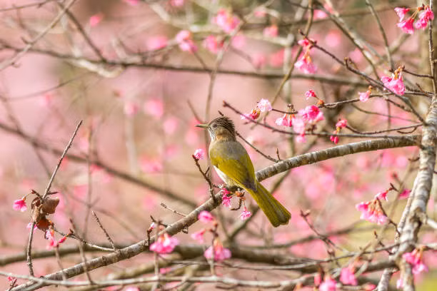 4 con giap tu viet lai cuoc doi bang chinh no luc cua minh-Hinh-3