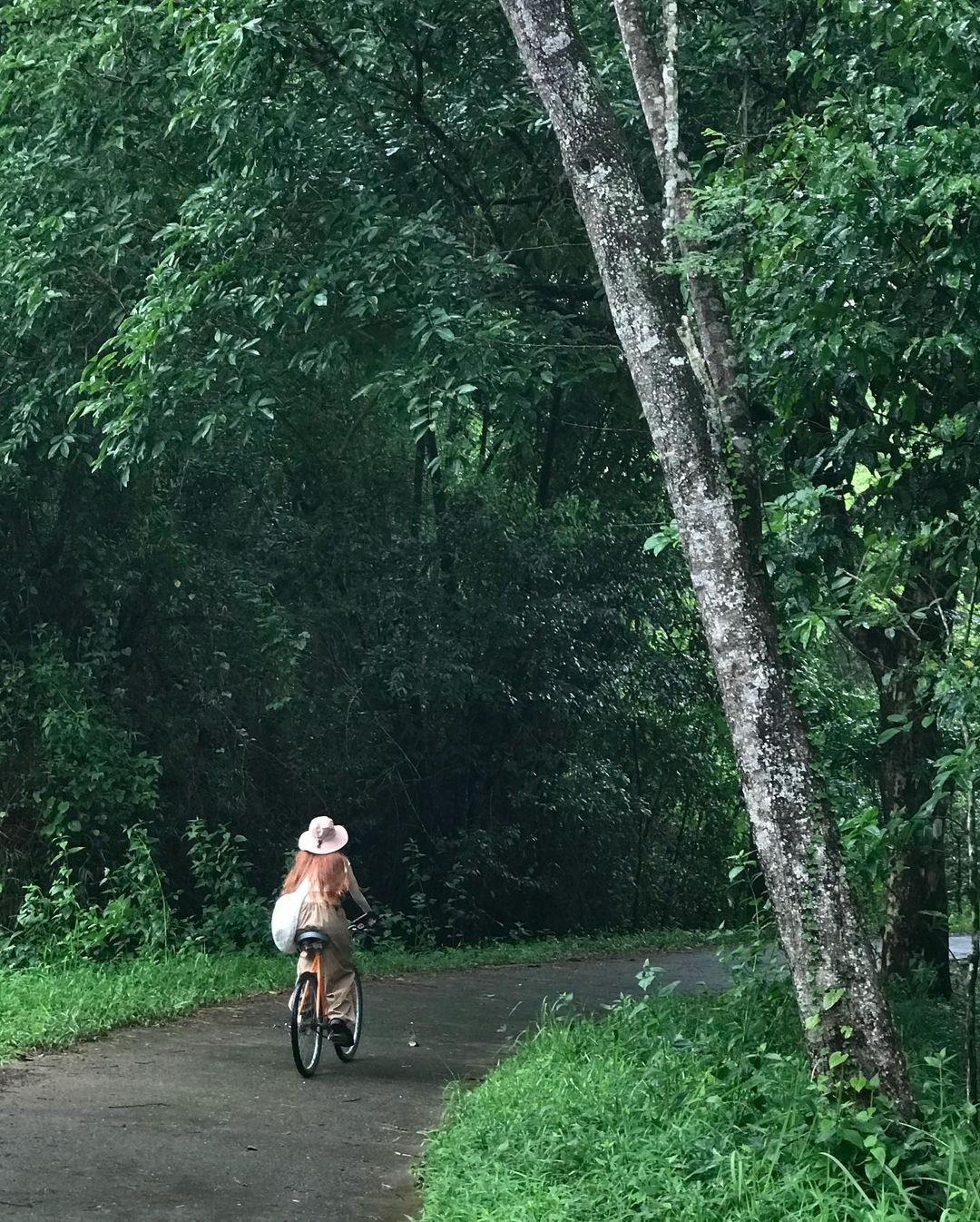 Tron khoi bui tai Vuon quoc gia Cat Tien-Hinh-3