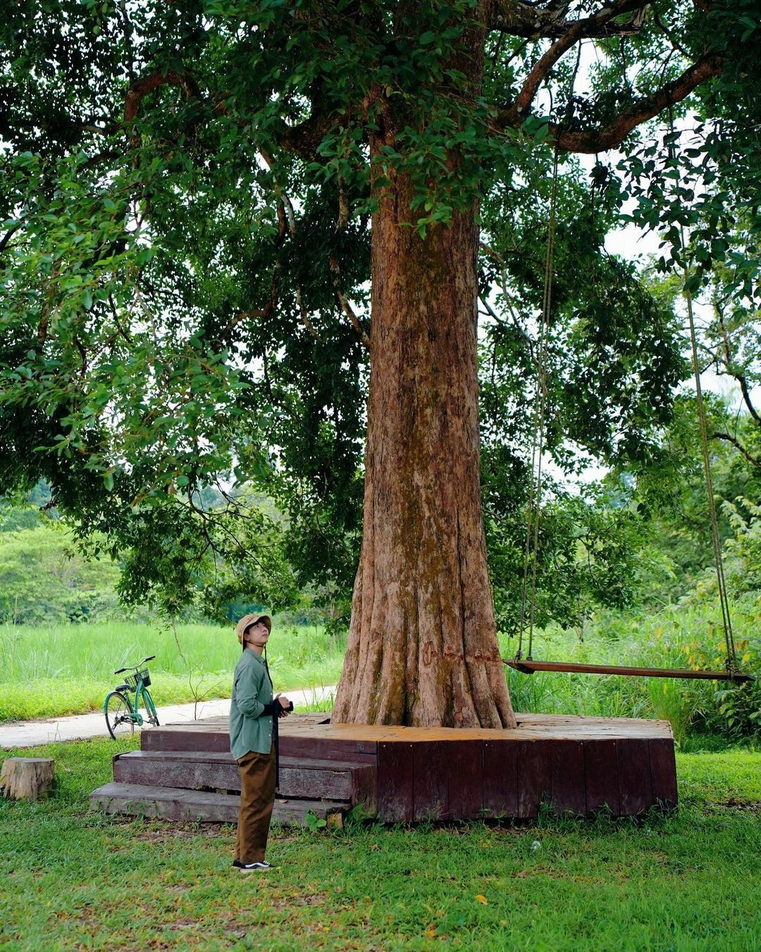 Tron khoi bui tai Vuon quoc gia Cat Tien-Hinh-5