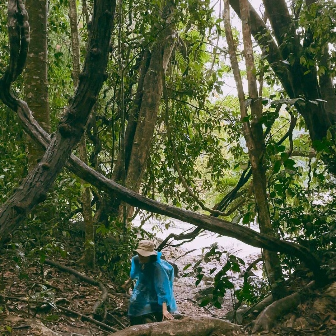 Tron khoi bui tai Vuon quoc gia Cat Tien-Hinh-9